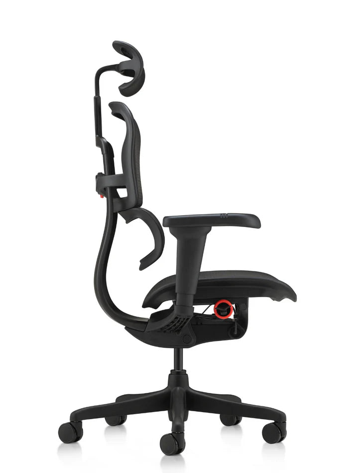 Ergohuman IOO Budget 人體工學辦公椅