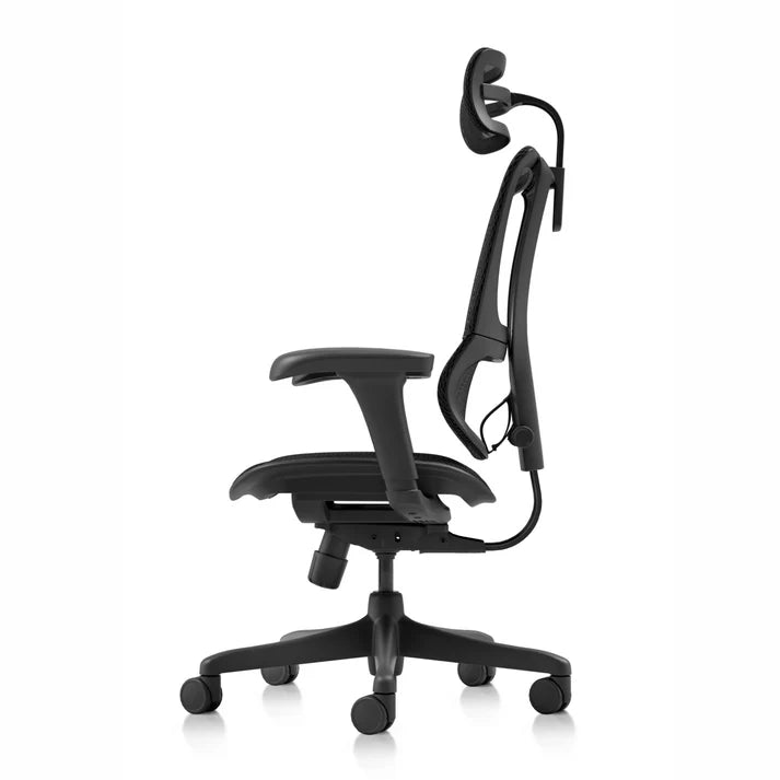 Ergohuman IOO Budget 人體工學辦公椅