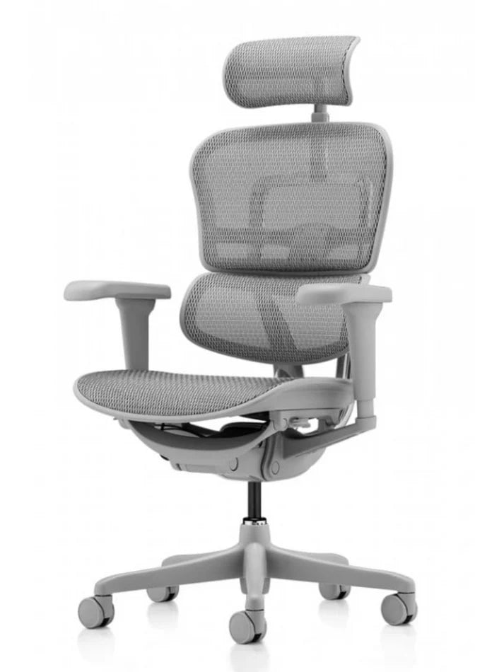 Ergohuman Ultra 人體工學辦公椅