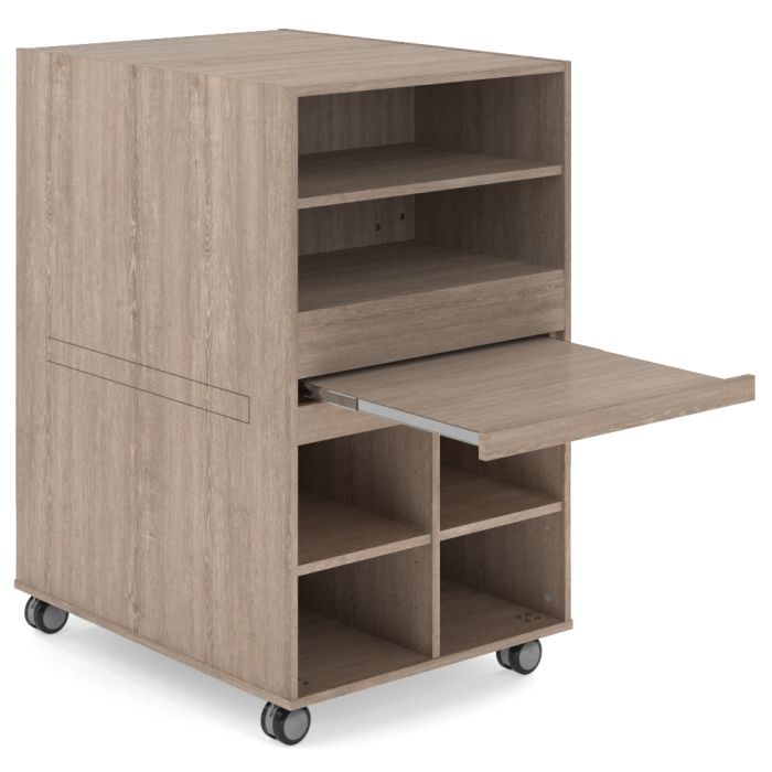 CS017 Gesso School Storage Cabinet