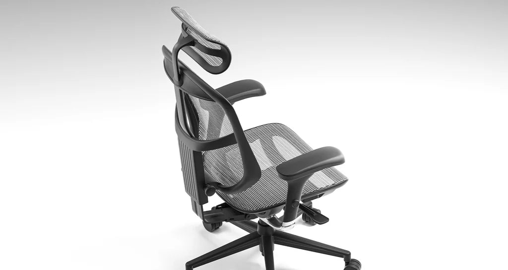 Ergohuman Enjoy Project 2.0 企業版 人體工學辦公椅