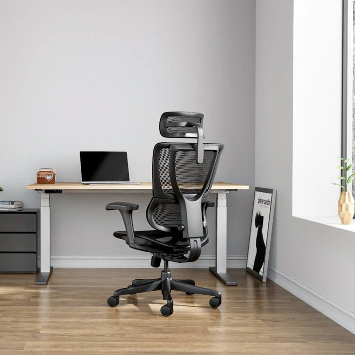 Ergohuman IOO Budget 人體工學辦公椅
