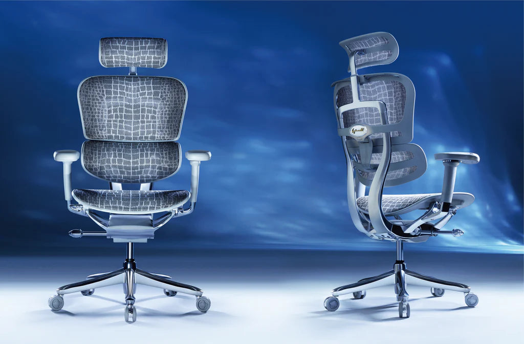 Ergohuman SE Pro 2.0 限量版鱷魚紋網布人體工學辦公椅