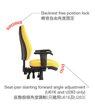 U515B53D Elegant 人體工學網布辦公椅