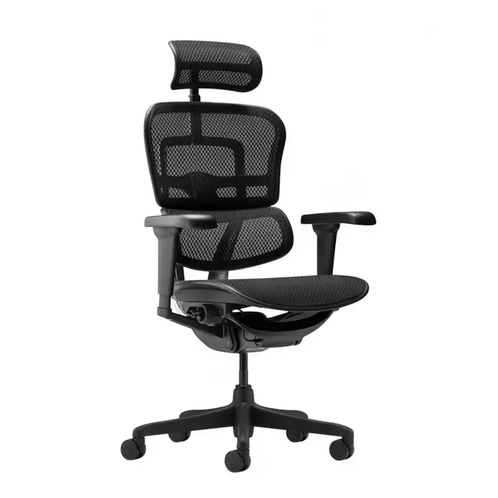 Ergohuman Ultra 人體工學辦公椅