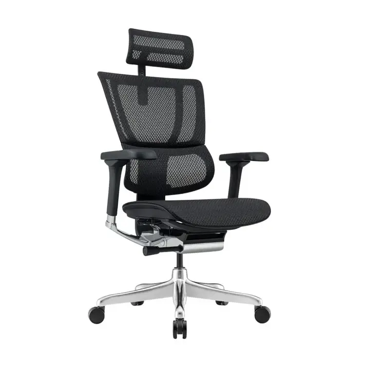 Ergohuman IOO Elite 2.0 精英版 人體工學辦公椅