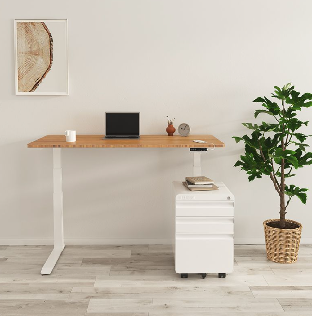 PROM STANDING DESK-White (E7-03W)