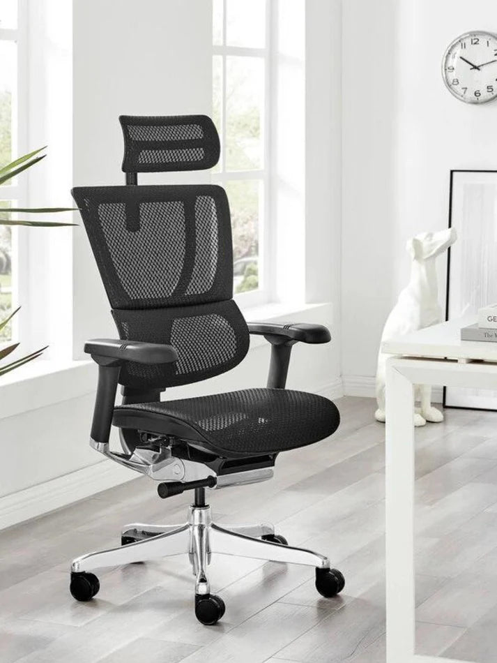 Ergohuman IOO Elite 2.0 精英版 人體工學辦公椅