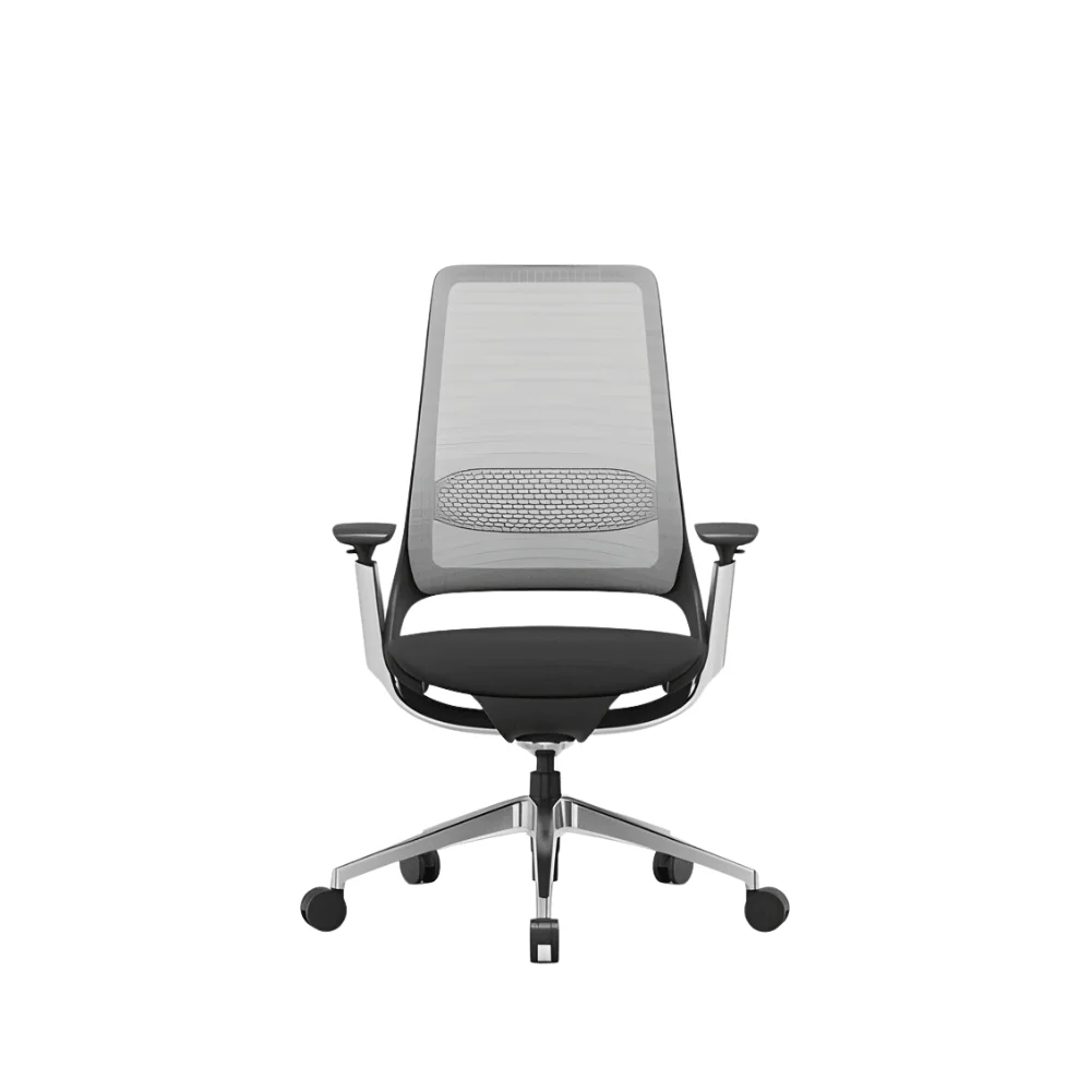 GT006-L HUG 人體工學辦公椅電腦椅