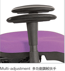 U515B53D Elegant 人體工學網布辦公椅