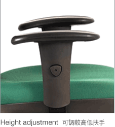 M537B51N Elegant 人體工學網布辦公椅