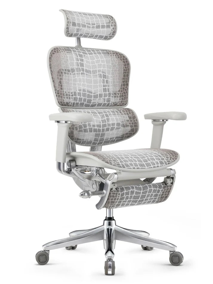 Ergohuman SE Pro 2.0 限量版鱷魚紋網布人體工學辦公椅