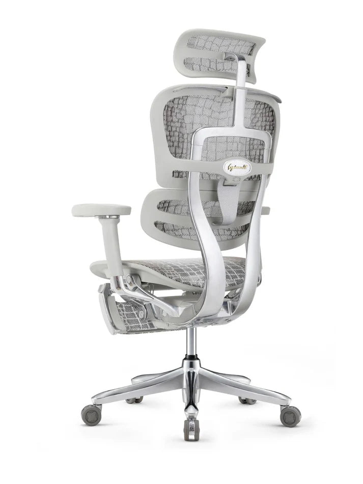 Ergohuman SE Pro 2.0 限量版鱷魚紋網布人體工學辦公椅