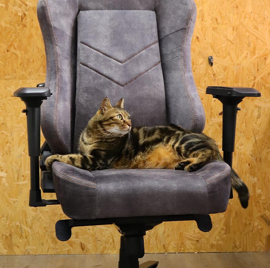 irocks T28 Plus 貓抓布人體工學辦公椅電腦椅