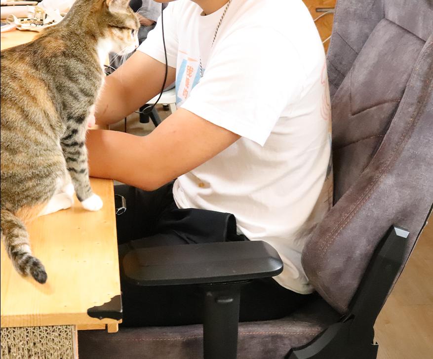 irocks T28 Plus 貓抓布人體工學辦公椅電腦椅