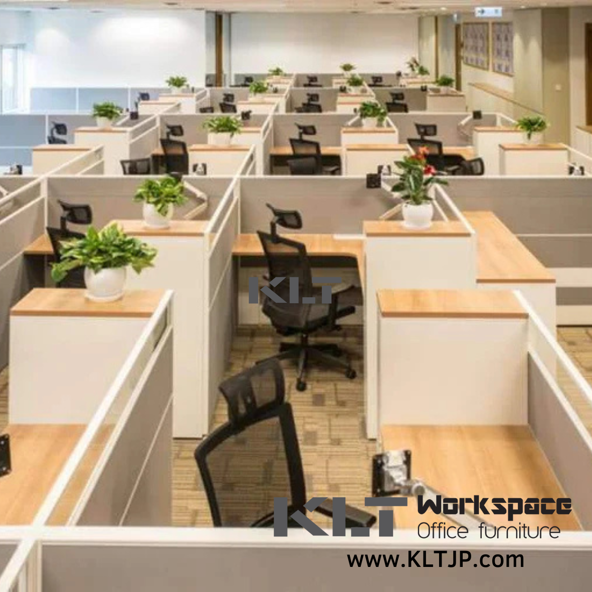 Kowloon Bay Xinxing Center