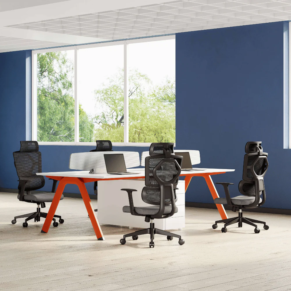 KH367L Quirino Mid-Back Ergonomic Office Chair