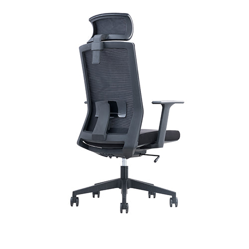 KH-202A-LP-Karvino High-back Headrest Ergonomic Office Chair