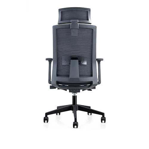 KH-202A-LP-Karvino High-back Headrest Ergonomic Office Chair