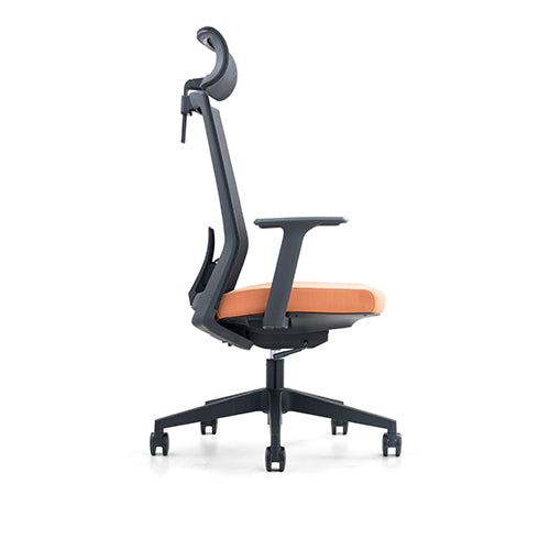 KH-202A-LP-Karvino High-back Headrest Ergonomic Office Chair