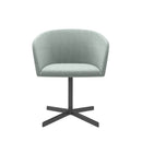 ST096-Geno Business Meeting Chair