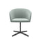 ST096-Geno Business Meeting Chair