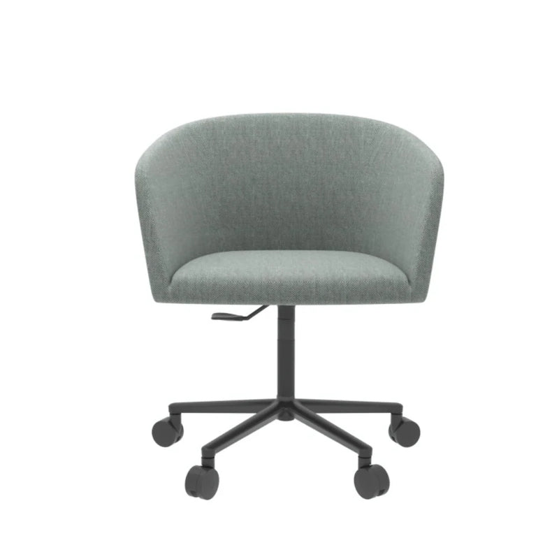 ST096-Geno Business Meeting Chair