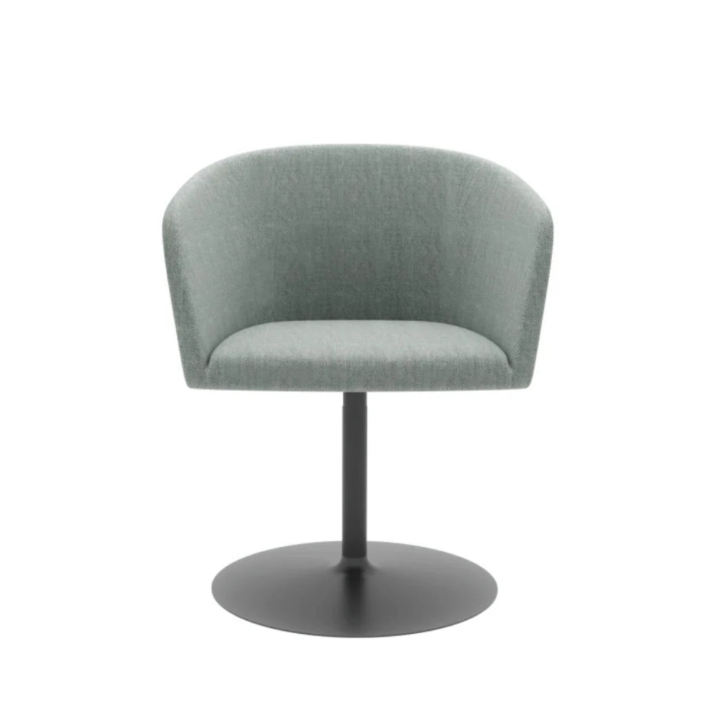 ST096-Geno Business Meeting Chair