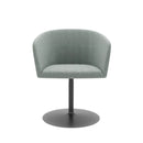 ST096-Geno Business Meeting Chair