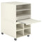 CS017 Gesso 學校收納儲物櫃｜School Storage Cabinet