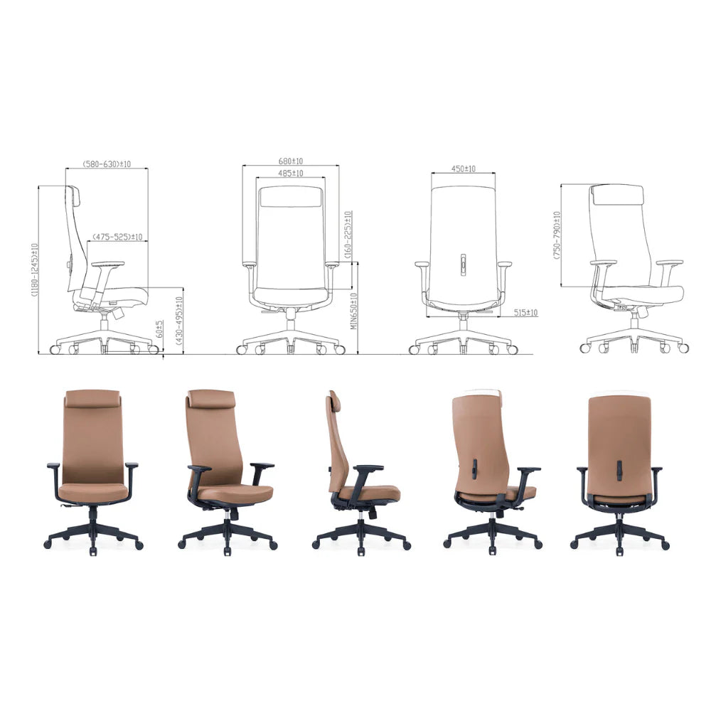 KH603 Ergo 高背皮革進階人體工學大班椅