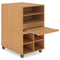CS017 Gesso 學校收納儲物櫃｜School Storage Cabinet
