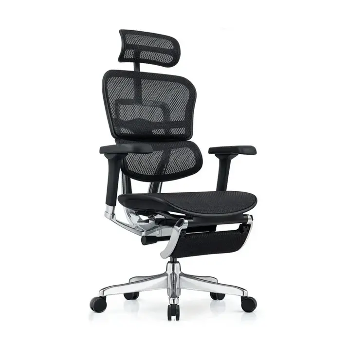 Ergohuman Elite 2.0 精英版 人體工學辦公椅