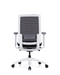 KVIX-D Grane Ergonomic Office Chair Computer Chair