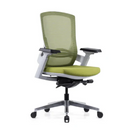 K310-Silvario Mesh Back Ergonomic Office Chair