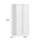 SST005 Ferro Office Steel Film Door Storage File Cabinet