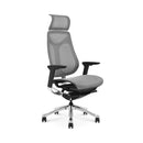 GT007A IMOVE High Back Full Mesh Ergonomic Office Chair Computer Chair｜Ergonomic Office Chair