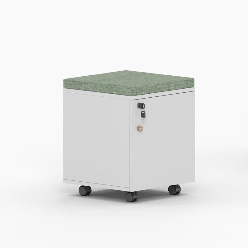 WC 38 Modern 木製辦公室置物櫃
