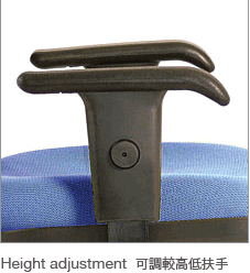 U515B53D Elegant 人體工學網布辦公椅