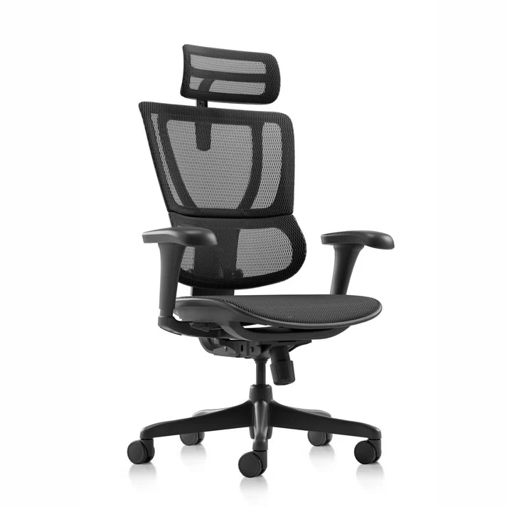 Ergohuman IOO Budget 人體工學辦公椅
