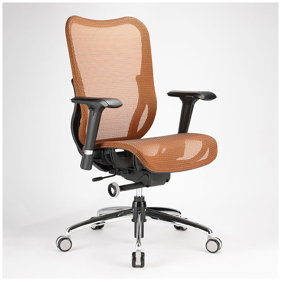 irocks T06 人體工學網椅