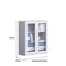 SST010 Netto Office Metal Steel Double Glass Door Covering File Cabinet