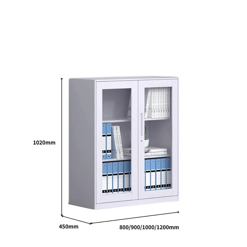SST010 Netto Office Metal Steel Double Glass Door Covering File Cabinet