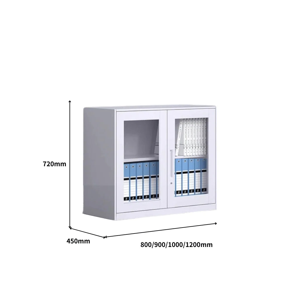 SST010 Netto Office Metal Stainless Steel Double Glass Door File Cabinet