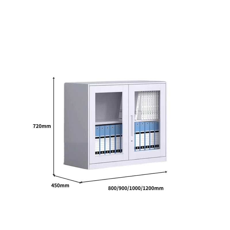 SST010 Netto Office Metal Steel Double Glass Door Covering File Cabinet
