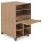CS017 Gesso 學校收納儲物櫃｜School Storage Cabinet