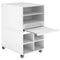 CS017 Gesso 學校收納儲物櫃｜School Storage Cabinet