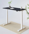 PROM STANDING DESK-Walnut_White (E7-02W)