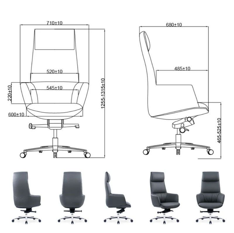 KH500 Venere high-back leather executive chair won the design award 