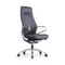 GT002 Arico High Back Ergonomic Leather Executive Chair | German Design Red Dot Award-winning Executive Chair 